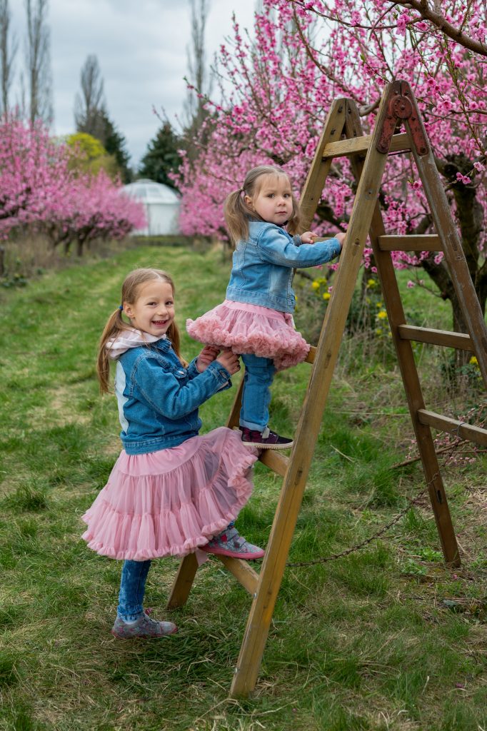 Minifocení v broskvovém sadu 2026